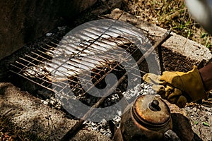 Grilled fish on a fire on a barbecue at a picnic, grilled food on a grill and Turkish teapot 1