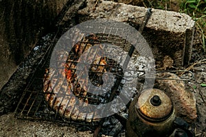 Grilled fish on a fire on a barbecue at a picnic, grilled food on a grill and Turkish teapot 5