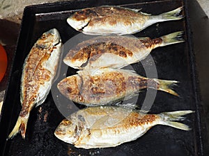 Grilled fish photo