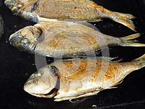 Grilled fish photo