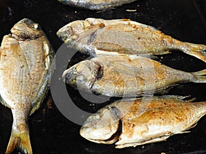 Grilled fish photo