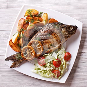 Grilled fish with fried potatoes and salad top view, closeup