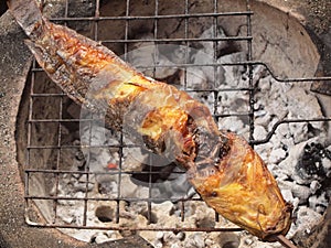 Grilled fish on the grill
