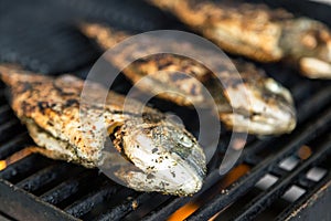 Grilled fish on the grill