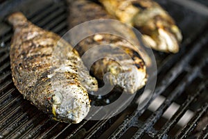 Grilled fish on the grill