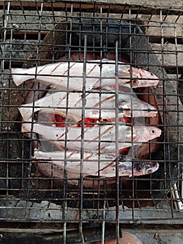 Grilled fish on a hot charcoal grill. in rural Thailand.