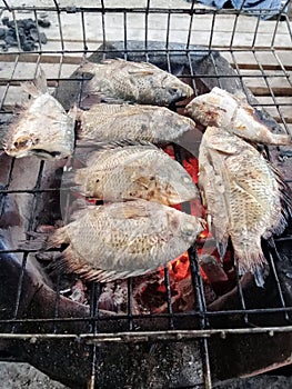 Grilled fish on a hot charcoal grill. in rural Thailand.
