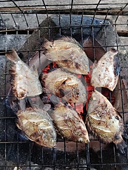 grilled fish on the hot grill