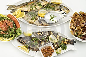 Grilled Fish with Lemon Slices, Grilled seafood served on plate isolated on white