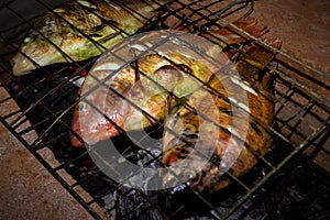 Grilled fish Nile Tilapia on charcoal grill grilled fish Nile Tilapia on charcoal grill.