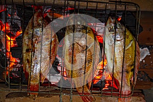Grilled fish Nile Tilapia on charcoal grill grilled fish Nile Tilapia on charcoal grill.