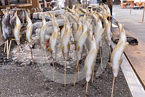 Grilled fish on an open fire in Nikko.