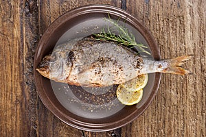 Grilled fish on plate from above.