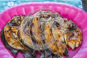 Grilled fish on a plate close up view