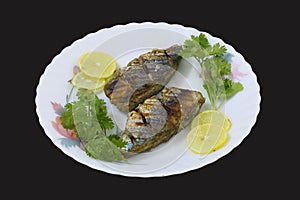 Grilled fish in a plate isolated