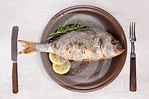 Grilled fish on plate, top view.