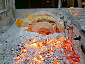 Grilled fish, Red Tilapia, Plaa Tubtim, Pla Pao, and red burning charcoals in a big stove photo