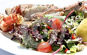 Grilled Fish Salad