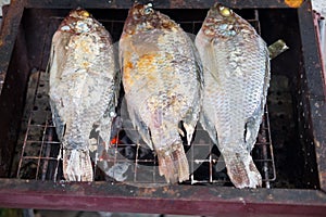 Grilled fish with salt crust and herb on grill