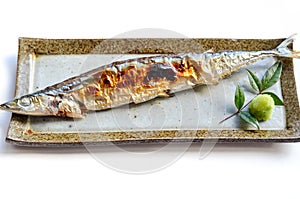 Grilled fish saury