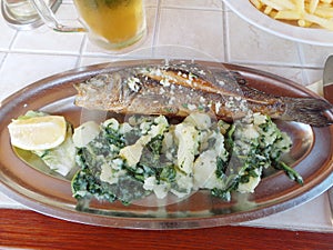 Grilled fish sea bass with boiled potato and mangold on plate