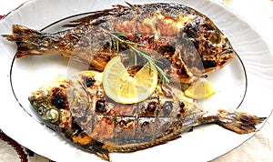 Grilled fish, sea bream, dorada on the plate