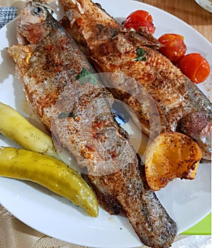 Grilled fish served with white glass of white wine. Gourmet seafood