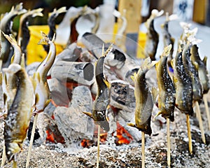 Grilled Fish photo