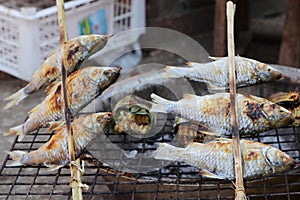 Grilled fish sold in an Asian food street market