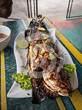 Grilled fish with vegetables served on the table