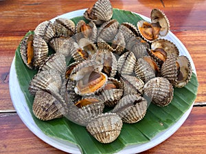 Grilled fresh cockles