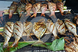 Grilled fresh seafood in local market, MahÃÂ© - Seychelles Island photo