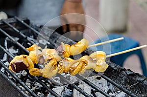 Grilled fresh squid