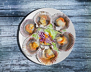 Grilled Galician Scallops with salad on blue wooden table. Iberic Variegated Scallops ZamburiÃ±as
