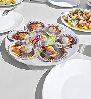 Grilled Galician Scallops, seafood salad and white wine on white backgound. Iberic Variegated Scallops ZamburiÃ±as