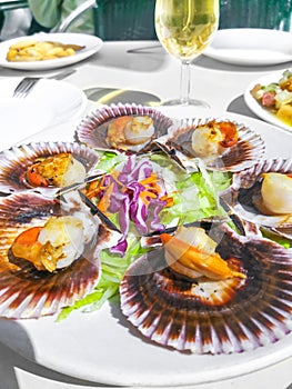 Grilled Galician Scallops, seafood salad and white wine on white backgound. Iberic Variegated Scallops ZamburiÃ±as