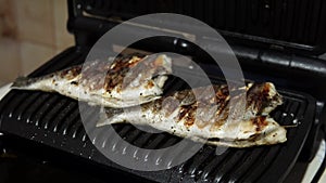 Grilled gilt-head bream fish also called orata or dorada is ready to eat.