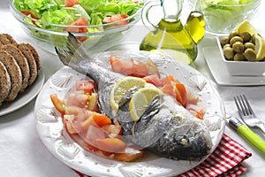 Grilled gilt head bream with salad