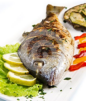 Grilled gilt head sea bream on plate with lemon ,salad and grill