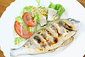 Grilled gilthead