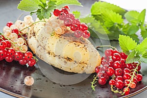 Grilled halloumi cheese with red currants and mint leaves. Unconventional serving of halloumi cheese. Farm natural product