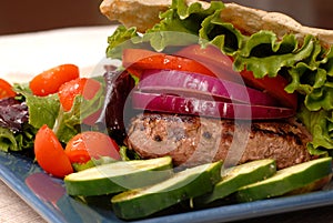 A grilled hamburger in a pita