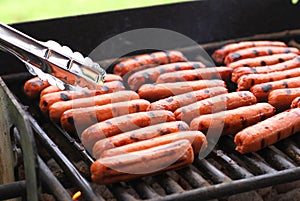 Grilled Hot Dogs