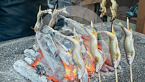 Grilled iwana or yamame fish photo