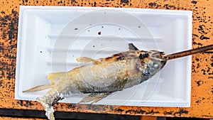 Grilled iwana or yamame fish photo