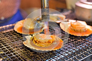 Grilled japanese scallop