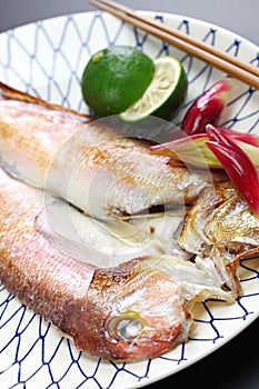 Grilled japanese tilefish