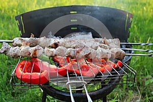 Grilled kabob with pepper