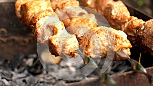 Grilled kebab close-up.
