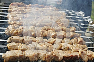 Grilled kebab cooking on metal skewers grill.